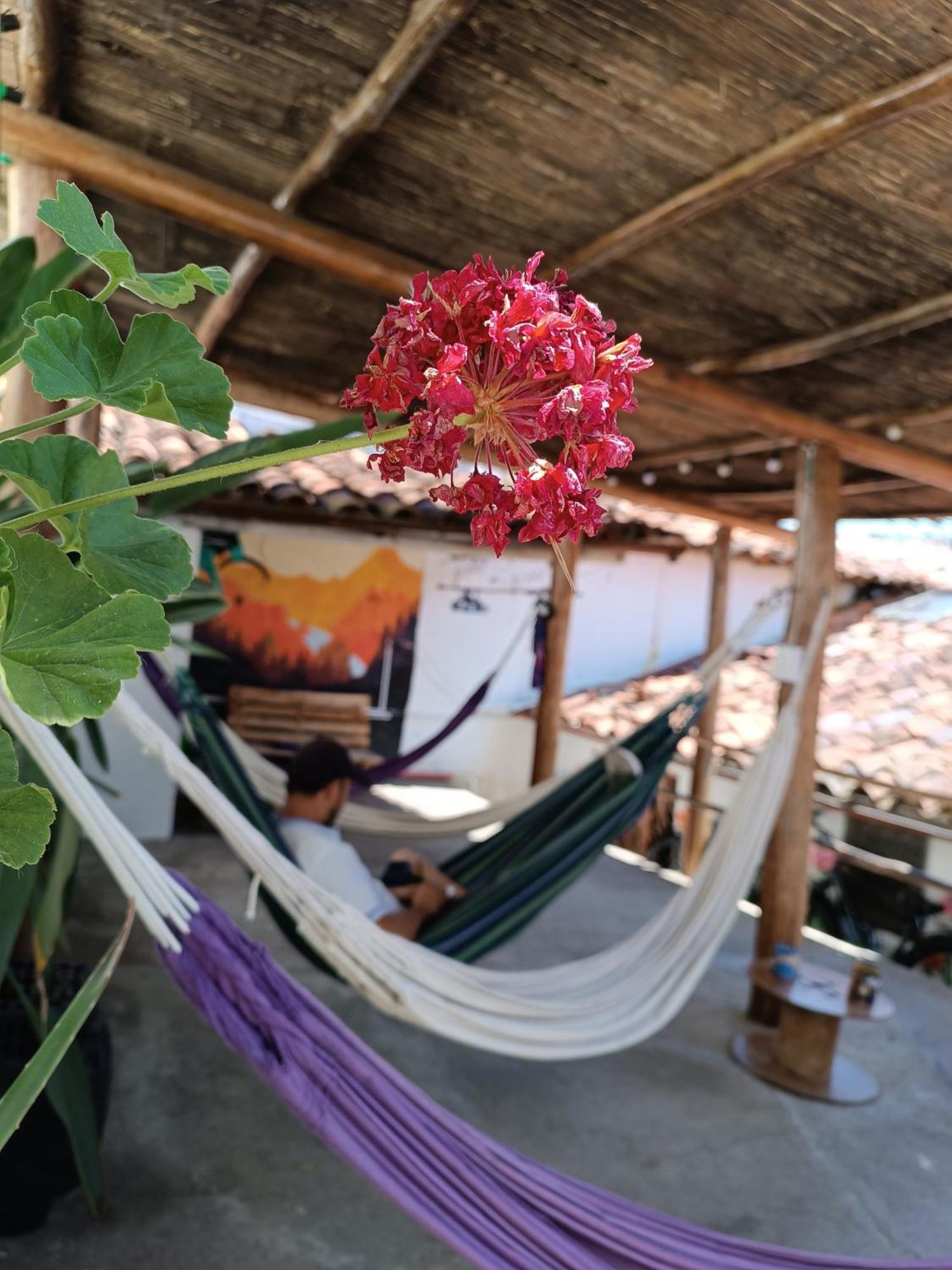 Adventure Hostel Сан-Хіль Екстер'єр фото
